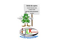 vente de sapins de Noël