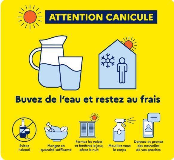 PLAN CANICULE